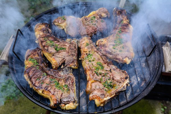 Barbecue all'aperto Carne in campagna . — Foto Stock