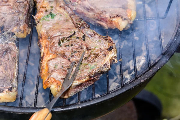 Barbecue all'aperto Carne in campagna . — Foto Stock