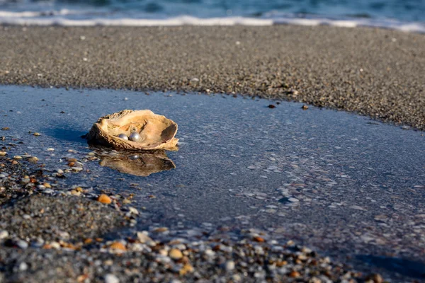 Australiska pärlor i havet — Stockfoto