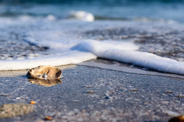 Australijskich pereł w morzu — Zdjęcie stockowe