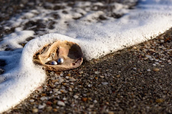 Australian Pearls in the Sea — Stock Photo, Image