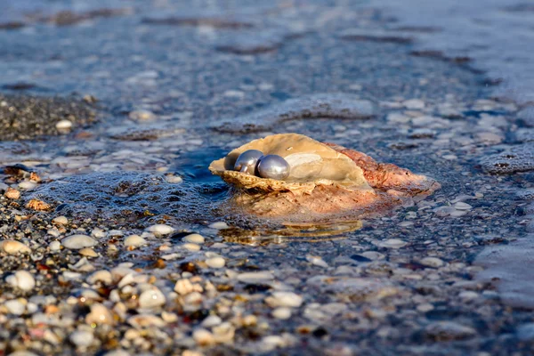 Australiska pärlor i havet — Stockfoto