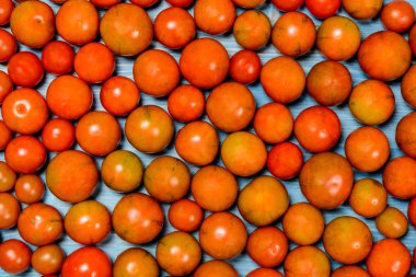 Arkadan görmüş domates.