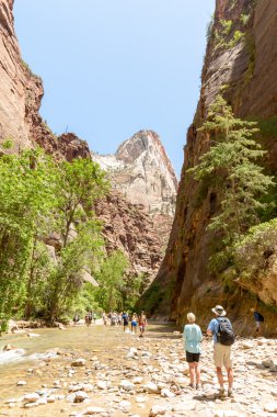 Turistler Virgin Nehri boyunca