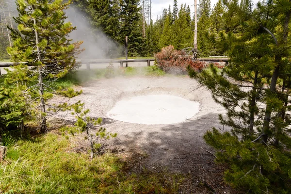 Mudpot a Yellowstone Nemzeti Park, Yellowstone — Stock Fotó