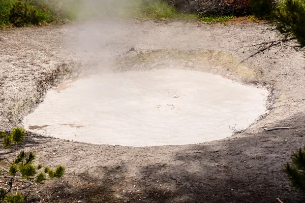 Maceta en el Parque Nacional de Yellowstone, Yellowstone — Foto de Stock