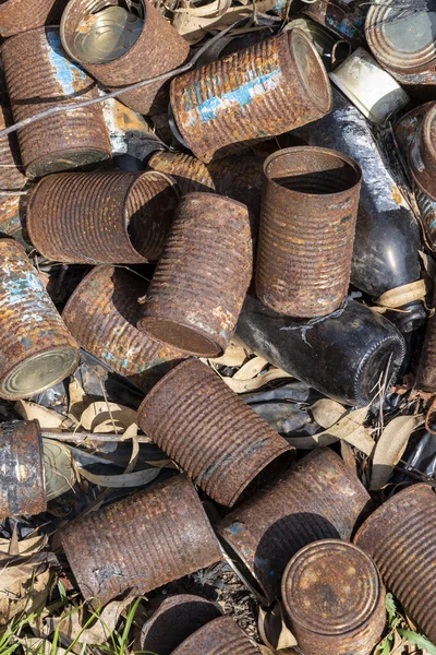 Old rusty cans lie on the ground and dry grass in nature. Pollution and environment.