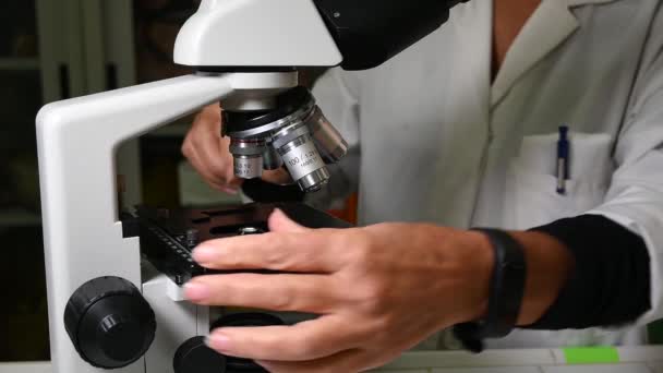 Biyoloji Dersi Öğretmen Dersini Yapmak Için Optik Bir Mikroskop Kullanıyor — Stok video