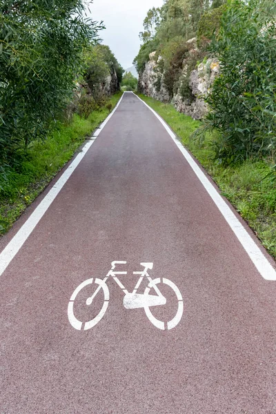 Caminho Bicicleta Com Sinais Estrada Floresta Antecedentes Profundidade Horizonte — Fotografia de Stock