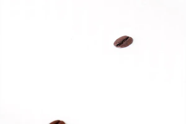 Kávová Zrna Padající Mléčnou Šplouchačku Šálek Mléka Koncepční Fotografie — Stock fotografie