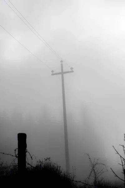 Poteau Électrique Arbres Cachés Par Brouillard Cadre Mystique — Photo