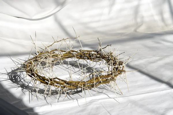 Crown of thorns — Stock Photo, Image