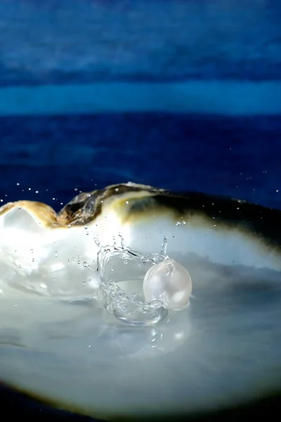 Concha do mar com pérola — Fotografia de Stock