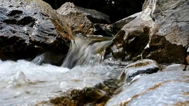 Pequena cachoeira — Vídeo de Stock