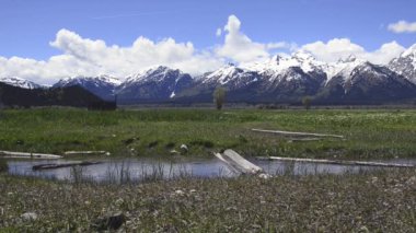 Wyoming. Grand teton Milli Parkı.