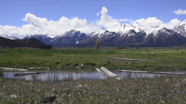 Wyoming. Parco nazionale del Grand Teton . — Video Stock