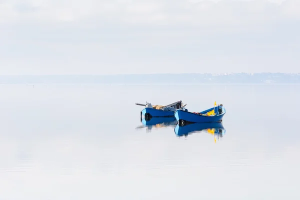 Paar blauwe boten. — Stockfoto