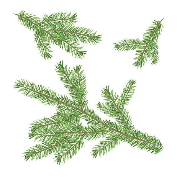 Christmas Tree Branch Set Vector Illustration — Stock Vector