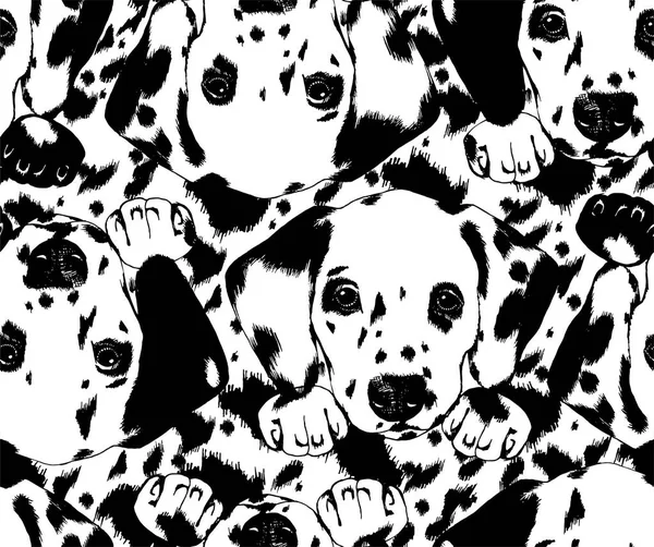 Dalmatiska Sömlösa Mönster Med Valp Hund Huvud Porträtt Handritad Illustration — Stock vektor