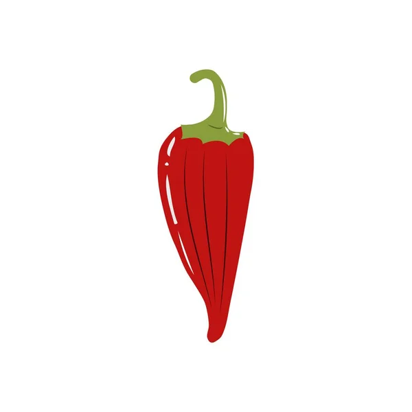 Fresco icono de pimienta roja vegetal aislado. pimienta para el mercado agrícola, diseño de recetas de ensalada vegetariana. ilustración vectorial en estilo plano — Vector de stock