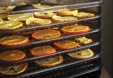 Kurutulmuş portakal ve limon kurutucuda.