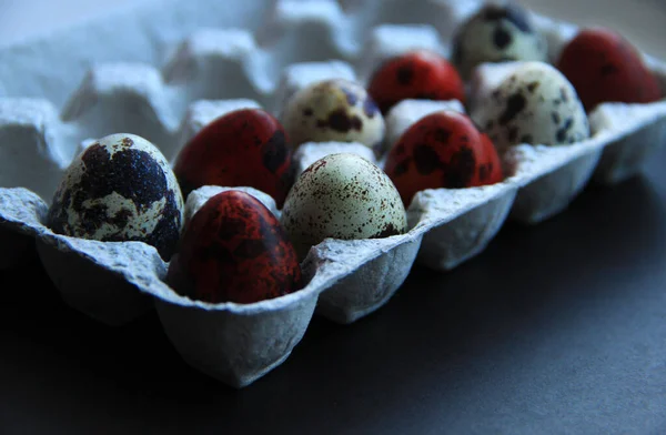 Розфарбовані Перепелині Яйця Великоднє Свято — стокове фото
