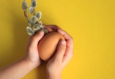 Koyu bir tavuk yumurtası ve filizlenen bir söğüdün dalları sarı arka planda bir çocuğun ellerinde.