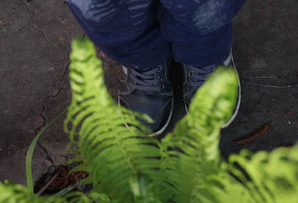 シダの茂みの横の歩道のブーツを履いた子供の足は — ストック写真
