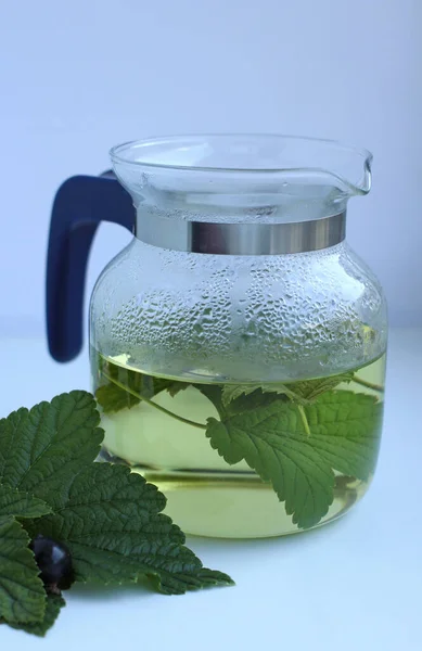 Herbata ziołowa z liści porzeczki z jagodami porzeczki w czajniku — Zdjęcie stockowe