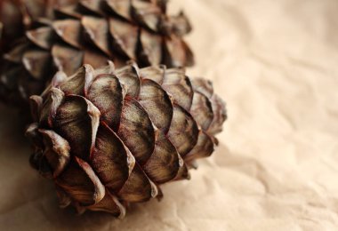 Bej arka planda fındıklı sedir konisi, sağlıklı ve sağlıklı yemekler, üst görünüm.