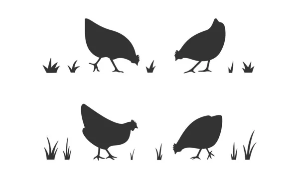 Chicken Set Silhouette Icon Different Rounded Shape Grass Vector Illustration — Stock Vector