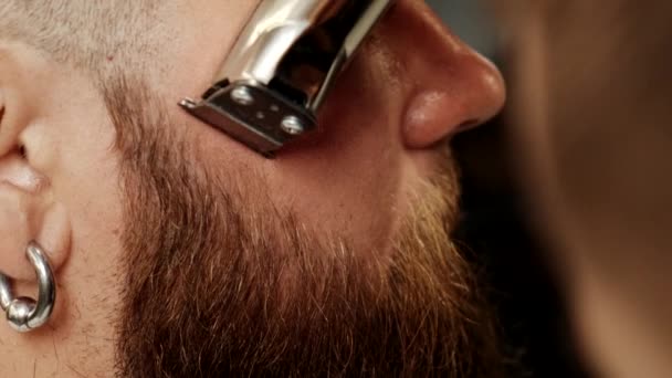 Close-up of Barber cutting a mans beard with a clipper. Trendy beard trim. — Stock Video
