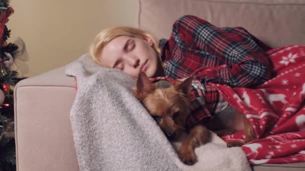 Durmiendo en el sofá joven hermosa amante y su perro mascota. Noche de Navidad. — Vídeo de stock