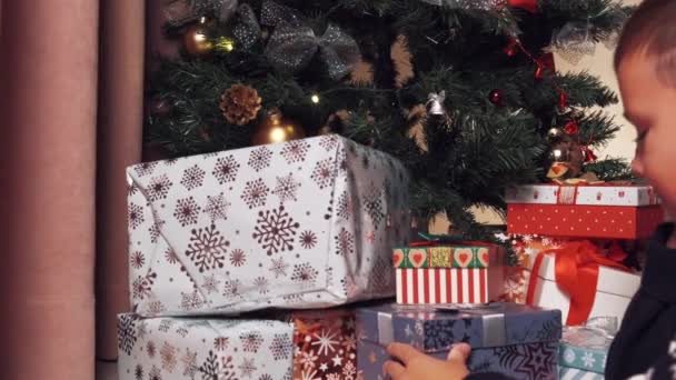 Menino perto da árvore de Natal e olha para presentes em caixas. — Vídeo de Stock