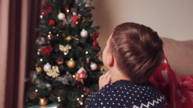 Koyu renk saçlı bir çocuk Noel ağacına bakıyor, elleri kavuşturulmuş..