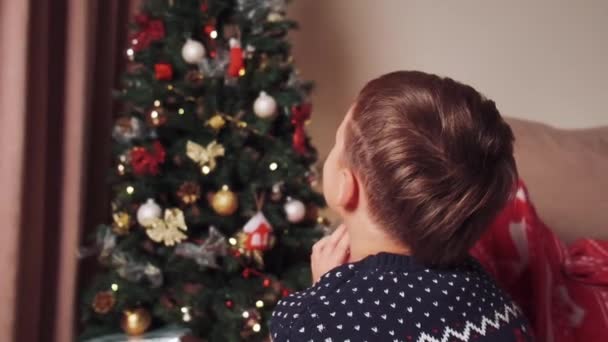 Egy sötét hajú fiú otthon nézi a karácsonyfát, összehajtott kézzel.. — Stock videók
