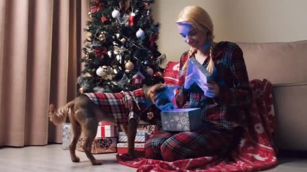 Kobieta otwiera pudełko z prezentami. Pies bierze zabawkę i kładzie się na kanapie.. — Wideo stockowe