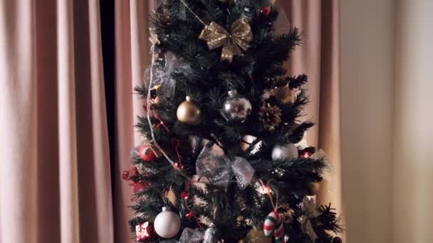 Grote versierde kerstboom met speelgoed en bloemenslinger. Slapende vrouw en haar huisdier — Stockvideo
