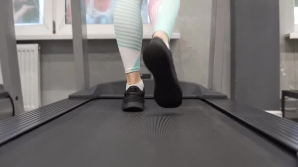 Női lábak tornacipőben sétálnak a futópadon, sportolnak az edzőteremben. — Stock videók