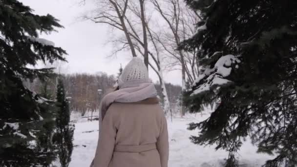 Vista da parte de trás de uma jovem caminhando em um parque de inverno. — Vídeo de Stock