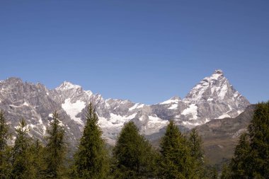 Karla kaplı yüksek dağlar ve ön planda yeşil bir orman.