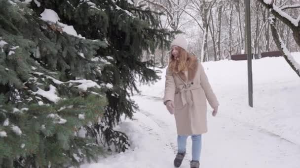 Bir kadın yol boyunca yürür ve çam ağacının dalından kar atar.. — Stok video