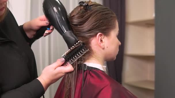 Kadeřnice žena suší dlouhé rovné vlasy s fénem pro mladou ženu — Stock video