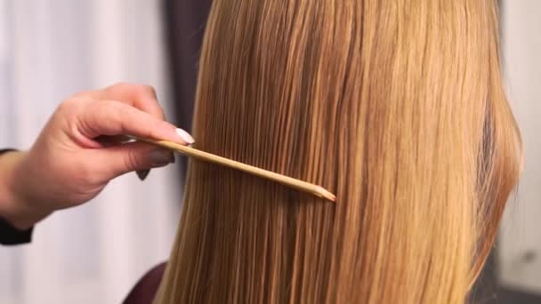 Frisøren finkjemmer klientens hår med en kam.. – stockvideo