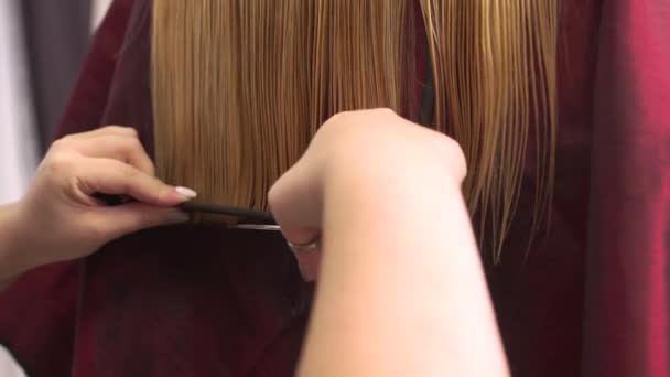 Femmes coiffeur mains couper les femmes cheveux blonds avec des ciseaux. Salon de beauté. — Video