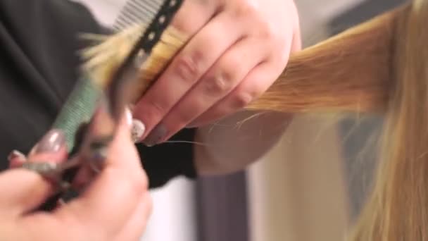 Перукар розчісує і вирізає кінці світлого волосся ножицями . — стокове відео