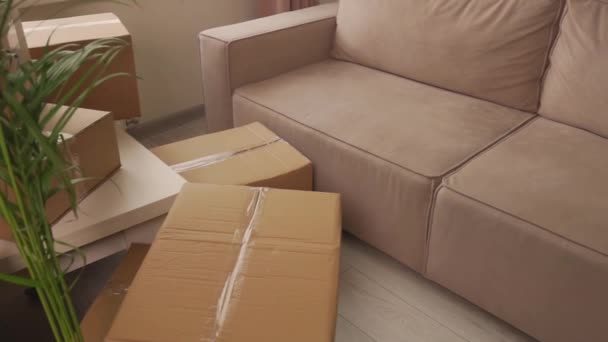 Una gran habitación luminosa con cajas de cartón para moverse. Una gran planta de palma en maceta. — Vídeo de stock