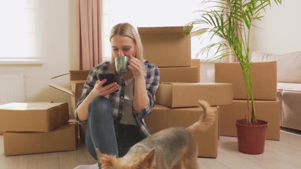 De vrouw nam een pauze tijdens de verhuizing. In de handen van een smartphone. — Stockvideo