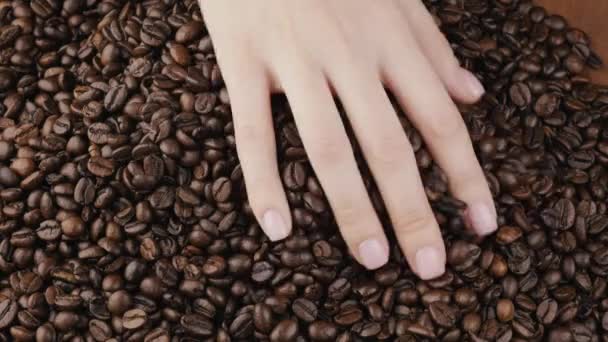 Vue de dessus de la main qui touche les grains de café torréfiés foncés. — Video