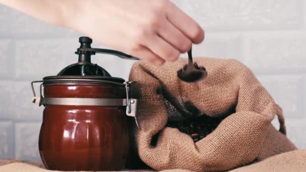 Налийте цілу смажену кавову квасолю в ложку в ручну кавомолку . — стокове відео